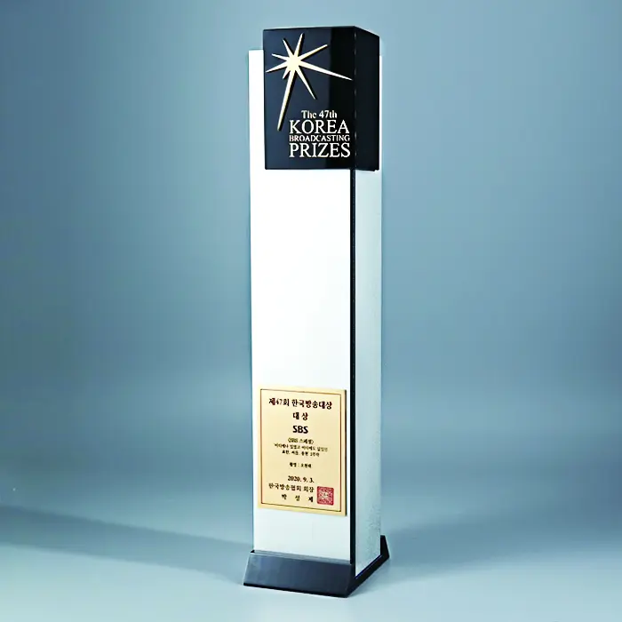한국방송대상 트로피