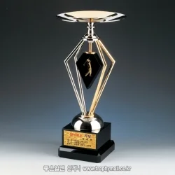 금속트로피 SB80621