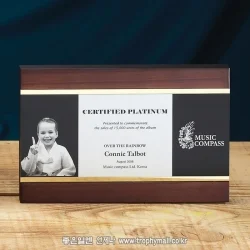 영구불변 메탈상패 SM83716