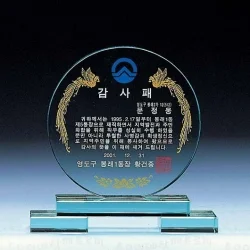 크리스탈상패 WC11818