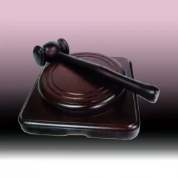 원목 소형 의사봉 KF74045