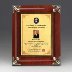 순금압출다보상패 SF80091