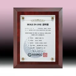 원목무늬크리스탈상패 KF73722