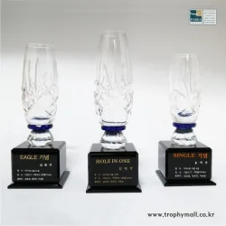 크리스탈 트로피 DC20119