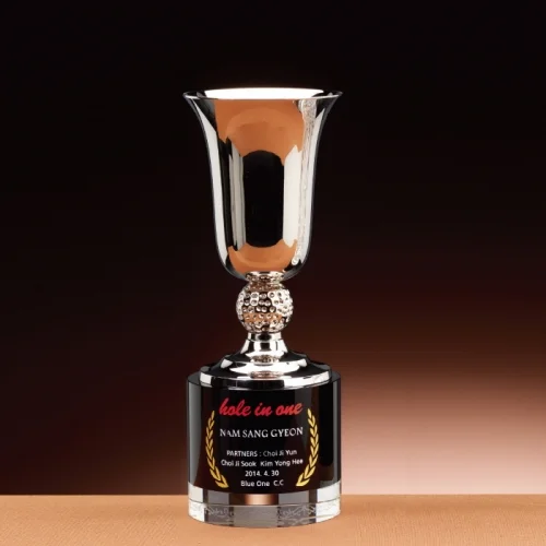 크리스탈트로피 WC91043